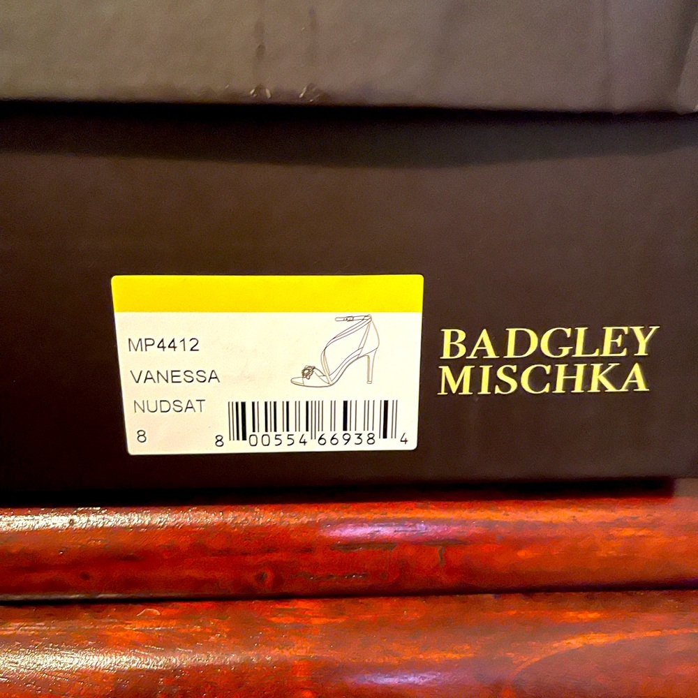 Beautiful Badgley Mischka Vanessa pumps (only worn once)
